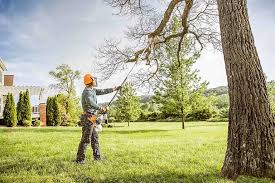 Best Seasonal Cleanup (Spring/Fall)  in Central Gardens, TX