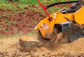 Best Lawn Maintenance Plans  in Central Gardens, TX