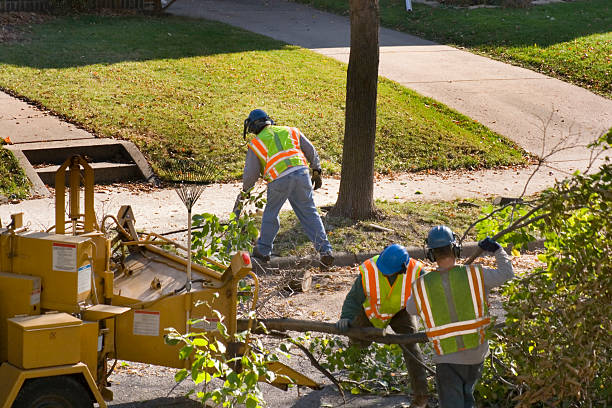 Best Landscape Design and Installation  in Central Gardens, TX